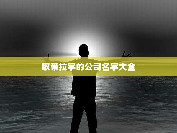 取带拉字的公司名字大全
