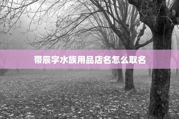 带辰字水族用品店名怎么取名