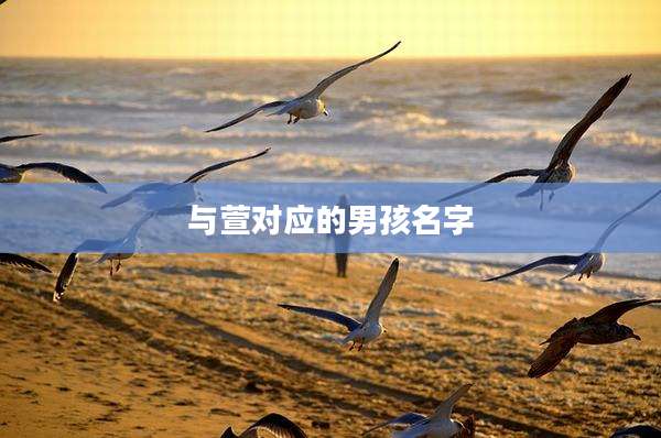 与萱对应的男孩名字