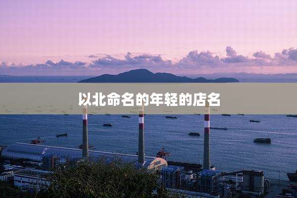 以北命名的年轻的店名