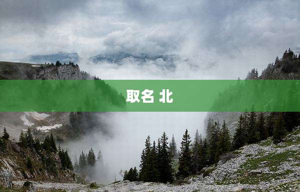 取名 北