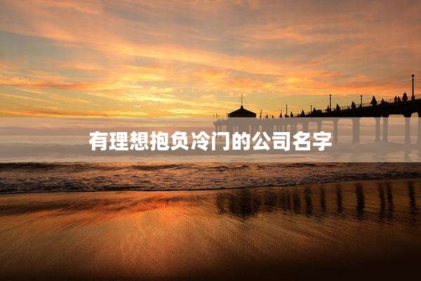 有理想抱负冷门的公司名字