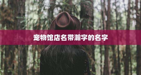 宠物馆店名带瀚字的名字