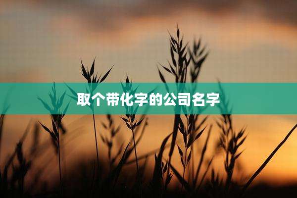 取个带化字的公司名字