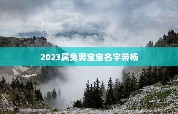 2023属兔男宝宝名字带杨