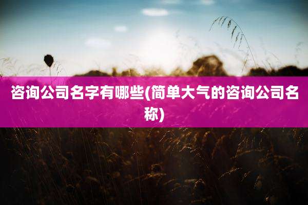 咨询公司名字有哪些(简单大气的咨询公司名称)