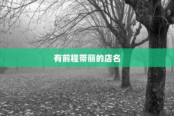 有前程带丽的店名