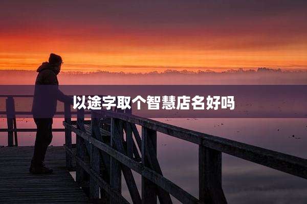 以途字取个智慧店名好吗