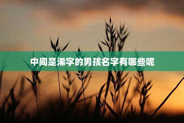 中间是浠字的男孩名字有哪些呢