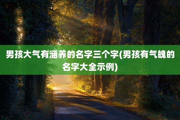 男孩大气有涵养的名字三个字(男孩有气魄的名字大全示例)