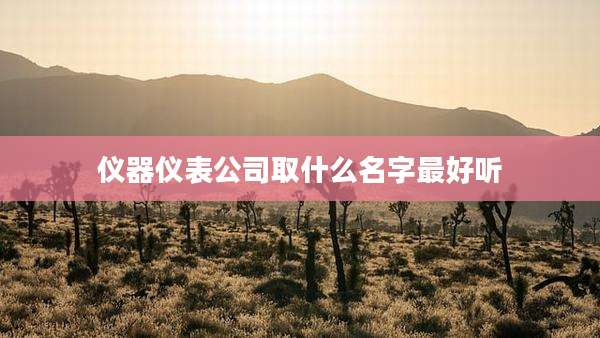 仪器仪表公司取什么名字最好听