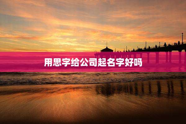 用思字给公司起名字好吗