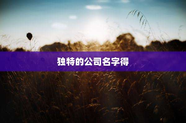 独特的公司名字得