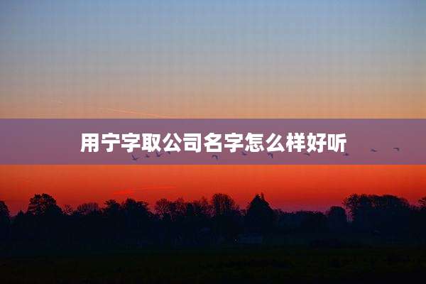 用宁字取公司名字怎么样好听