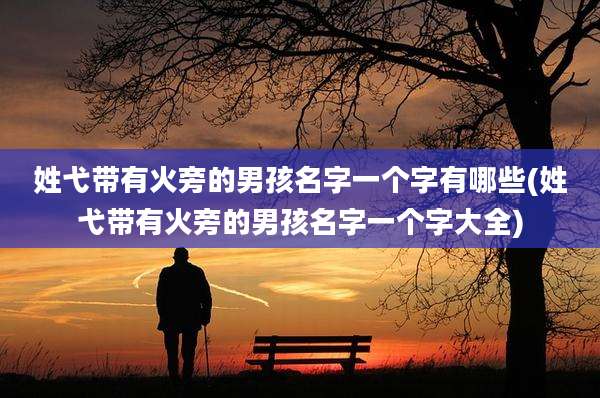姓弋带有火旁的男孩名字一个字有哪些(姓弋带有火旁的男孩名字一个字大全)