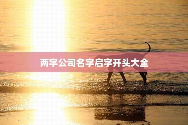 两字公司名字启字开头大全