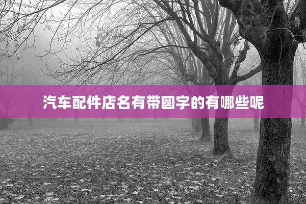 汽车配件店名有带圆字的有哪些呢