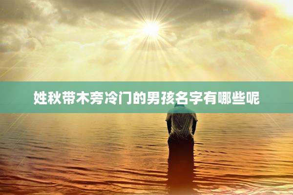 姓秋带木旁冷门的男孩名字有哪些呢