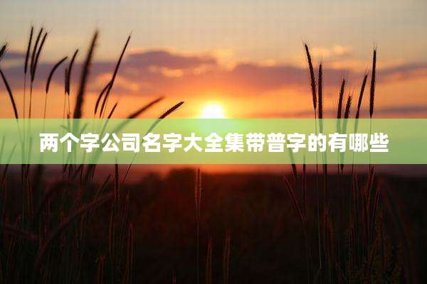 两个字公司名字大全集带普字的有哪些