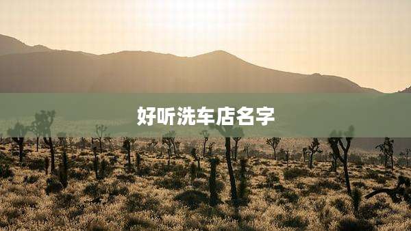 好听洗车店名字