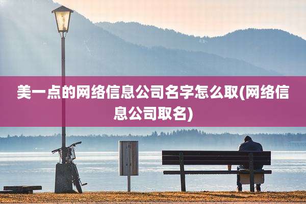 美一点的网络信息公司名字怎么取(网络信息公司取名)