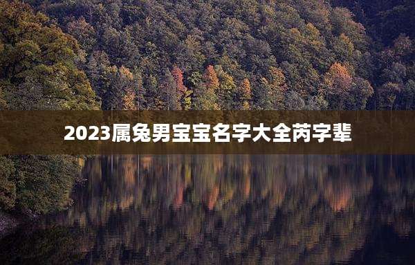 2023属兔男宝宝名字大全芮字辈
