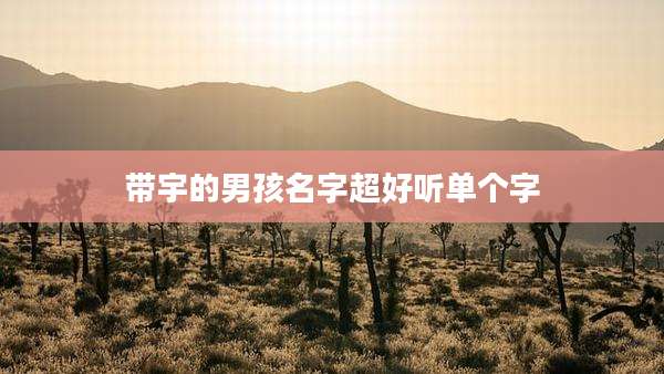 带宇的男孩名字超好听单个字