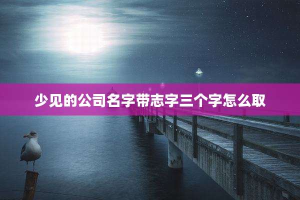 少见的公司名字带志字三个字怎么取