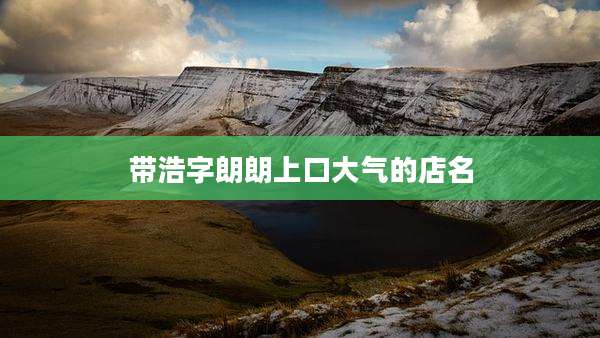 带浩字朗朗上口大气的店名
