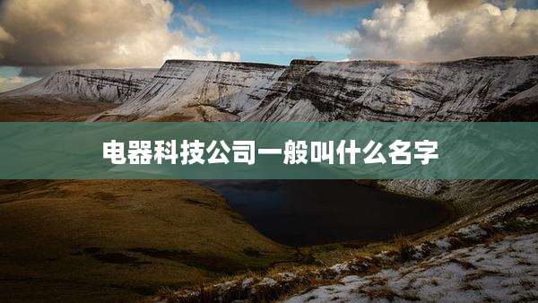 电器科技公司一般叫什么名字