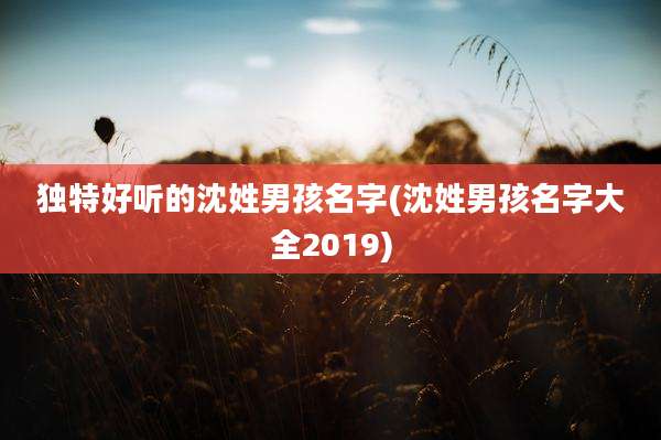 独特好听的沈姓男孩名字(沈姓男孩名字大全2019)