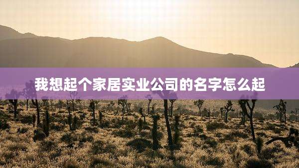 我想起个家居实业公司的名字怎么起