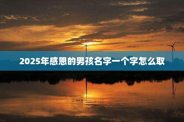 2025年感恩的男孩名字一个字怎么取