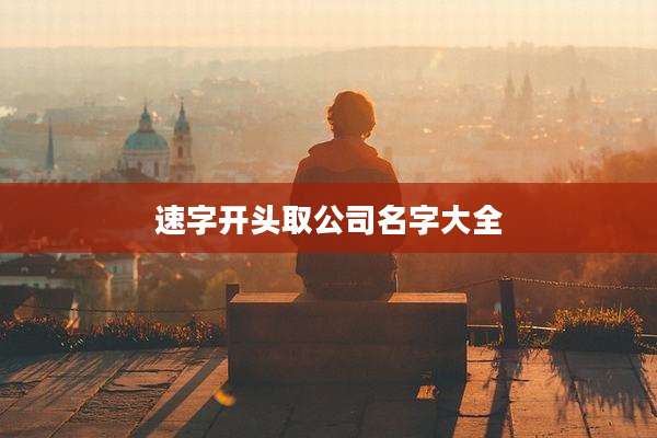 速字开头取公司名字大全