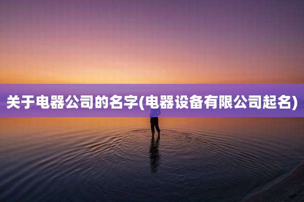 关于电器公司的名字(电器设备有限公司起名)