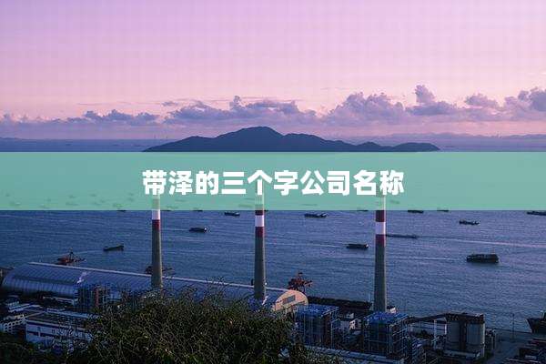 带泽的三个字公司名称