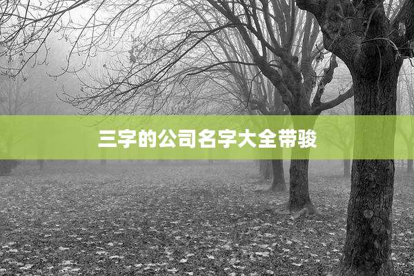 三字的公司名字大全带骏