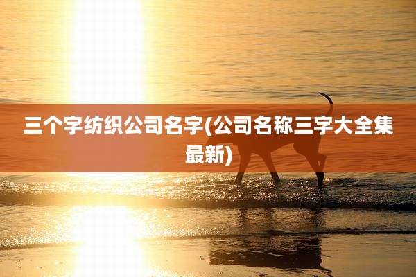 三个字纺织公司名字(公司名称三字大全集最新)