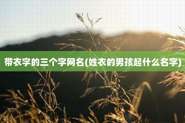 带衣字的三个字网名(姓衣的男孩起什么名字)