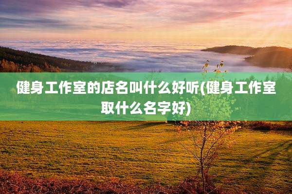 健身工作室的店名叫什么好听(健身工作室取什么名字好)