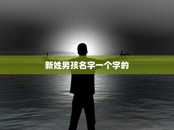 新姓男孩名字一个字的