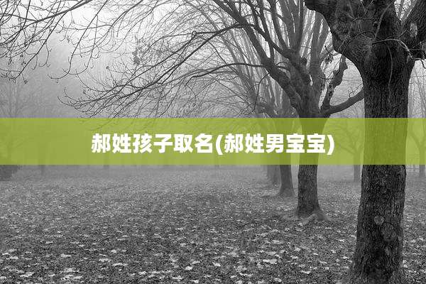 郝姓孩子取名(郝姓男宝宝)