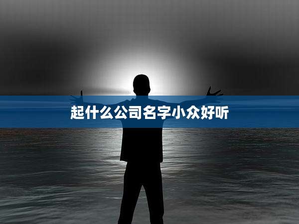 起什么公司名字小众好听