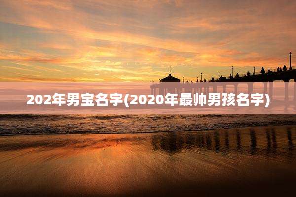 202年男宝名字(2020年最帅男孩名字)