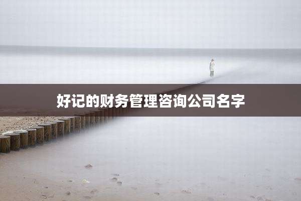 好记的财务管理咨询公司名字