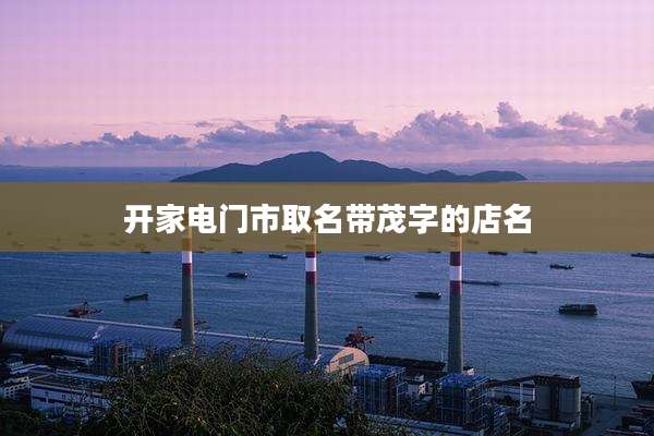 开家电门市取名带茂字的店名