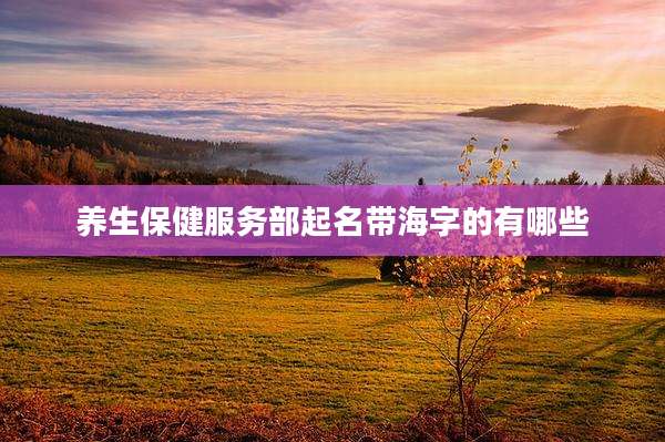 养生保健服务部起名带海字的有哪些