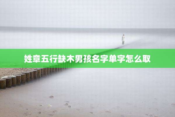 姓章五行缺木男孩名字单字怎么取