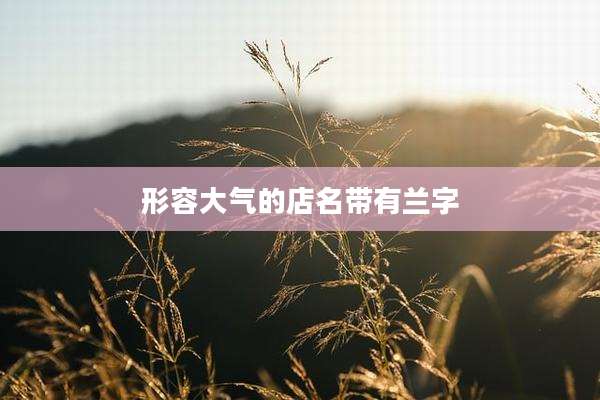 形容大气的店名带有兰字