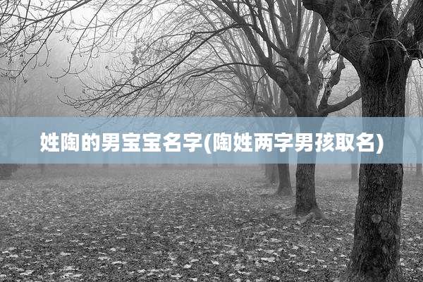 姓陶的男宝宝名字(陶姓两字男孩取名)